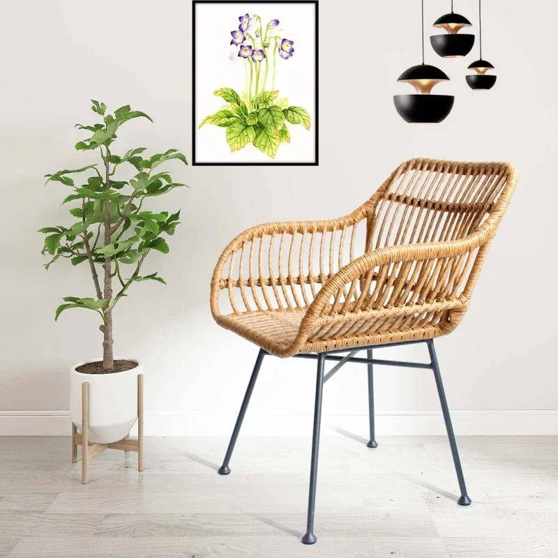 Nordic Dining Chairs for Kitch - огляд і ціна Outdoor Furniture Metal Chairs